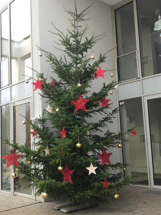 img_0747.jpg img_0747.jpg